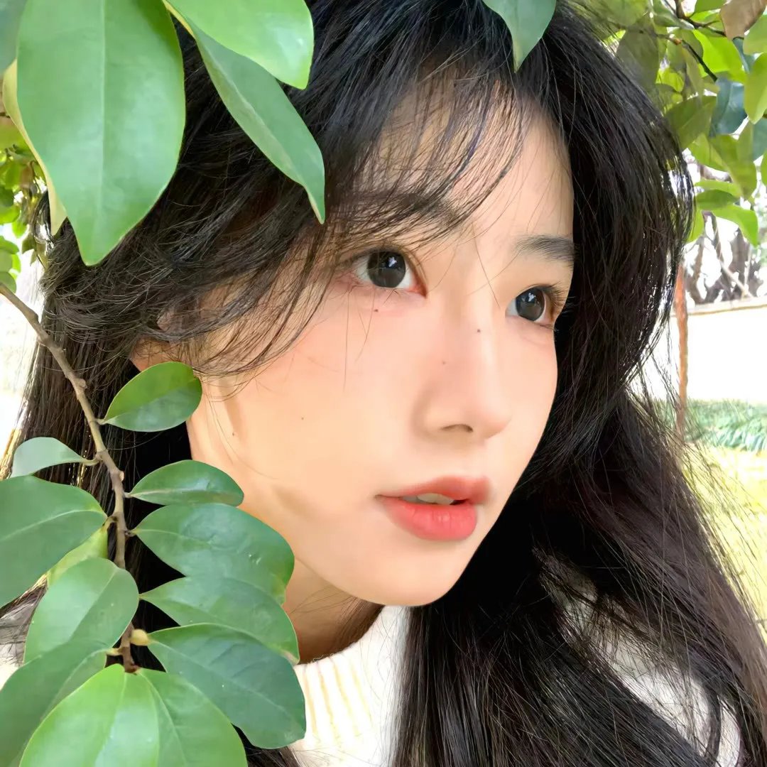 凯特的秘密